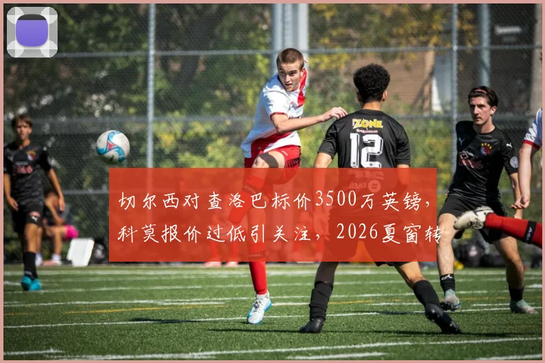 切尔西对查洛巴标价3500万英镑，科莫报价过低引关注，2026夏窗转会动态