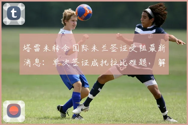 塔雷米转会国际米兰签证受阻最新消息：单次签证成托拉比难题，解析球员转会常见签证问题与应对