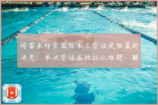 塔雷米转会国际米兰签证受阻最新消息:单次签证成托拉比难题,解析球员转会常见签证问题与应对