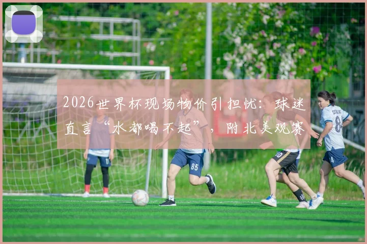 2026世界杯现场物价引担忧：球迷直言“水都喝不起”，附北美观赛省钱全攻略